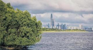 XW Hotel (Shenzhen OCT) - Shenzhen - 8