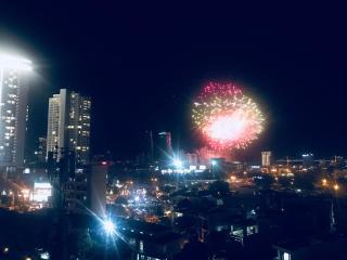 1BR-70m2 New,fully Luxury furnished, garden on top - Da Nang - 1