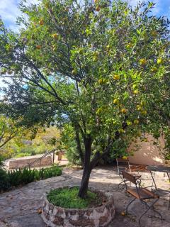 Estancia Santa María de las Casas Viejas - 1