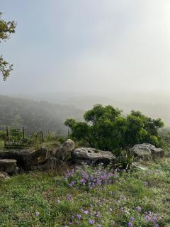 Star gazing, Mountain retreat, Amazing view - - 0