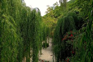 Grandsons Hostel - Mekhrably - 9