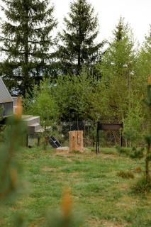 Лісогори - 2