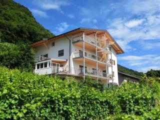 Fritzenhof Apartment Josephus in herrlicher Panoramalage - Termeno - 1