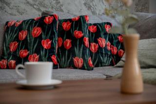 Spacious Apartment with WiFi & Smart TV Remote Working by Noclegi Renters - Breslávia - 1