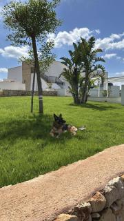 Villa Demetra by SalentoInVacanzaCOM - Marina di Pescoluse - 5