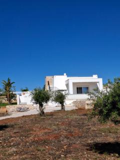 Villa Demetra by SalentoInVacanzaCOM - Marina di Pescoluse - 4