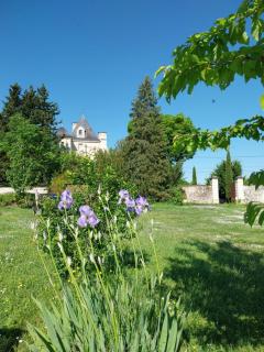 Au cœur des châteaux et des vignobles de la Loire - Huismes - 7
