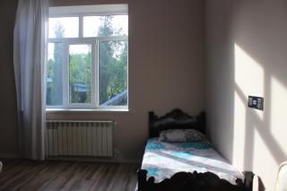 Green Nest - 2