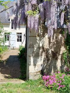 Au cœur des châteaux et des vignobles de la Loire - Huismes - 8
