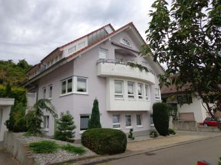 Haus Am Weinberg 2 - Endingen - 9