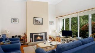 Crabapple Southside Mountain Cottage Pet Friendly - Wentworth Falls - 9