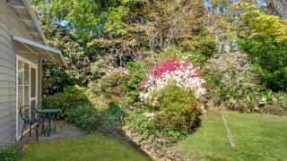Crabapple Southside Mountain Cottage Pet Friendly - Wentworth Falls - 4