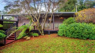 Sunnyside Cottage Quiet Cul De Sac Location - Wentworth Falls - 0