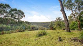 Sunnyside Cottage Quiet Cul De Sac Location - Wentworth Falls - 1