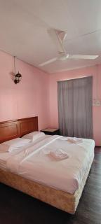Nazri's Place 1 - Mersing - 4