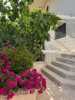 Warm 1BR in Dabouq - Amman - 3