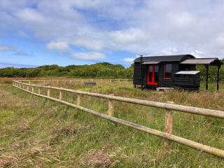 Shepherds Hut in a private meadow with sea views - 2