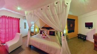 Flamingo Hotel - Cozumel - 1