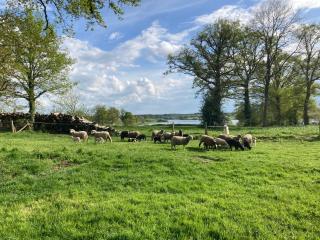 Gîte à la campagne au bord d'un Lac 8 personnes - Saint-Quentin-sur-Charente - 7