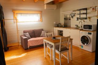 Kapok Flower entire studio - 4