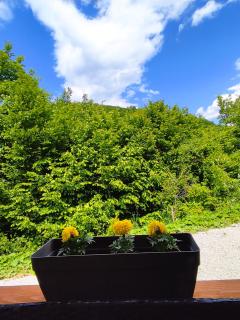 House of Peace at the top of the Pyramid Sun and Moon - Visoko - 7