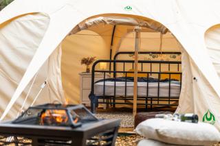 Charlcombe Valley Orchards Glamping - 6