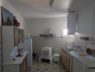 Seesterne - Estrela - 4
