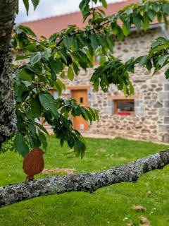 La Vieille Maison aux Canards - Neuvic-Entier - 8