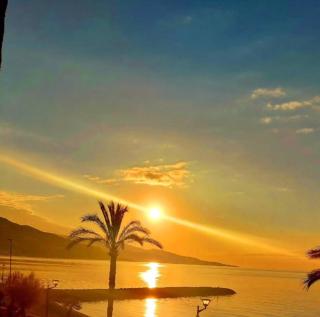 Atelier Sonia - Roquebrune-Cap-Martin - 9