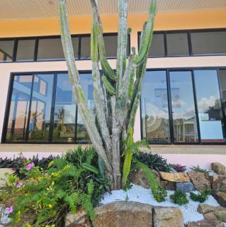 V196 Sea View 3BR, Infinity Pool and Open Living - Ban Ko Khwan - 4