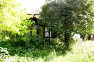 Guest house Æbelnæs, Møn - Stege - 5