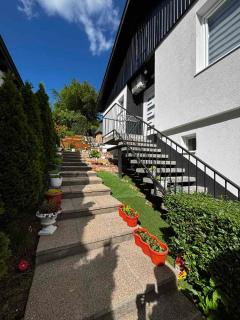Salma - Sarajevo - 2