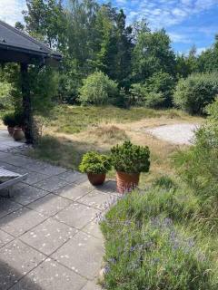Charming House Near Private Beach And Nature - Rørvig - 3
