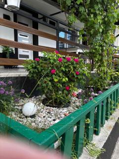Salma - Sarajevo - 8