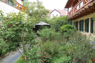 Ferienwohnung 1 am Zwenkauer See - frisch renoviert in Jan 25 - 1