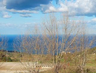 House in autenthic Sicily - 8