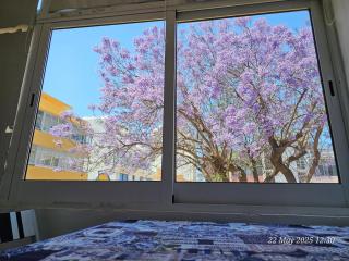 BLife Farensya private rooms - Faro - 9