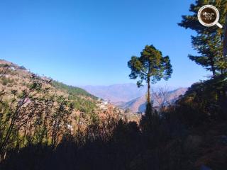 Hashtag95 - Food & Accommodation - 6