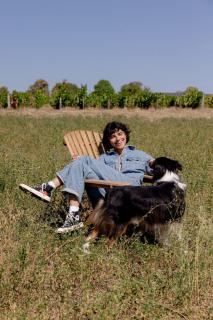 Parcel Tiny House Cave Nerot, au coeur des vignes près de Sancerre - 3