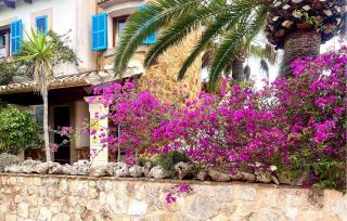 Sa Torre - Cala Santanyi - 3