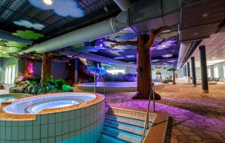Vakantiepark BreeBronne - Maasbree - 5