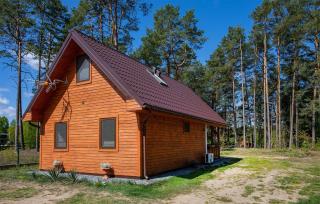 Amazing Home In Ostrowite With Sauna - Ostrowite - 3