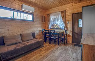 Amazing Home In Ostrowite With Sauna - Ostrowite - 8