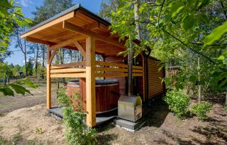 Nice Apartment In Ostrowite With Sauna - Ostrowite - 8
