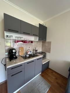 Cozy Studio with Kitchen in Bansko - Bansko - 7