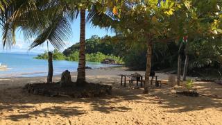 Djema Forest - Nosy Be - 0