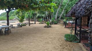 Djema Forest - Nosy Be - 7