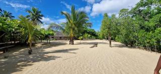 Djema Forest - Nosy Be - 2