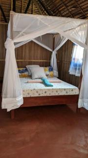 Djema Forest - Nosy Be - 1