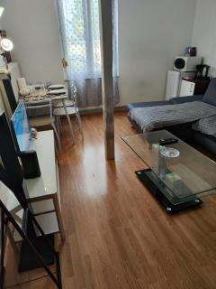 Spacieux studio meublé - Bischheim - 9